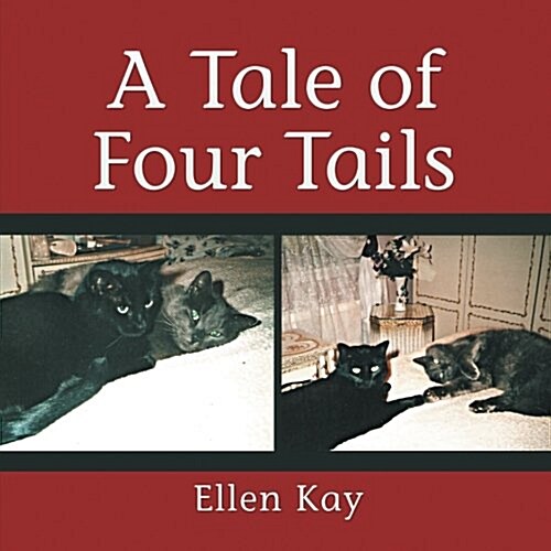 A Tale of Four Tails (Paperback)