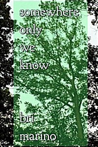 Somewhere Only We Know (Paperback)
