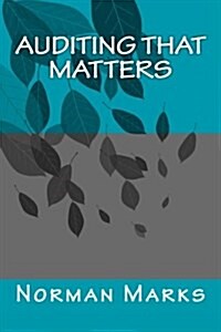 Auditing That Matters (Paperback)