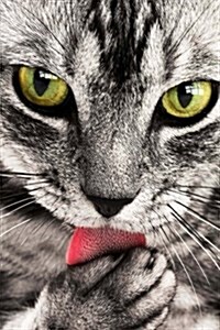 The Bright Red Tongue of a Tabby Cat: Blank 150 Page Lined Journal for Your Thoughts, Ideas, and Inspiration (Paperback)
