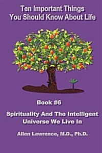 Ten Important Things You Should Know about Life: Book #6 - Spirituality and the Intelligent Universe We Live in (Paperback)