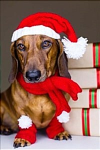 Dachshund Wearing a Santa Hat Journal: 150 Page Lined Notebook/Diary (Paperback)