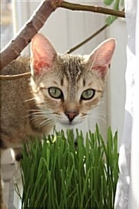 Adorable Kitten with a Wheat Grass Plant Journal: 150 Page Lined Notebook/Diary (Paperback)