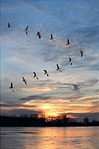 Canadian Geese Flying in Formation Journal: 150 Page Lined Notebook/Diary (Paperback)