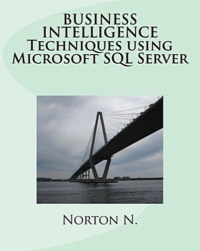 Business Intelligence Techniques Using Microsoft SQL Server (Paperback)