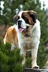 Adorable St. Bernard Dog Journal: 150 Page Lined Notebook/Diary (Paperback)