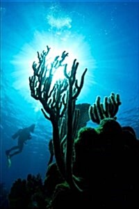 A Scuba Diver Admiring the Coral on a Reef in Honduras Journal: 150 Page Lined Notebook/Diary (Paperback)