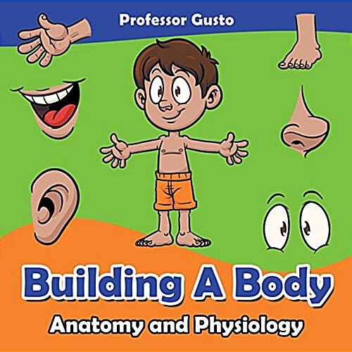 Building a Body Anatomy and Physiology (Paperback)
