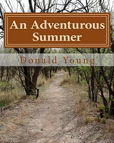 An Adventurous Summer: The Story of a Young Familys Search for Happiness and a Different Lifestyle (Paperback)
