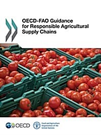 OECD-Fao Guidance for Responsible Agricultural Supply Chains (Paperback)