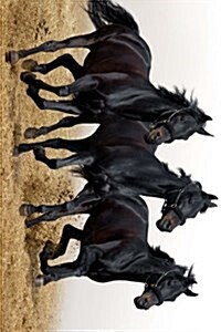 Three Beautiful Black Horses Galloping Together (Paperback, JOU)