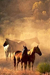 Wild Horses Gathered Together in Wyoming (Paperback, JOU)