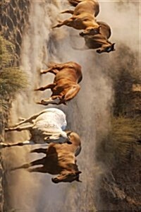 Wild Horses Mustangs in Montana (Paperback, JOU)