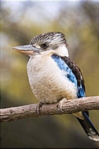 Blue Winged Kookaburra Australian Bird Journal: 150 Page Lined Notebook/Diary (Paperback)