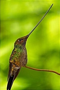 Sword-billed Hummingbird Journal (Paperback, JOU)