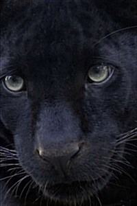 Black Panther Portrait Big Cat Journal (Paperback, JOU)