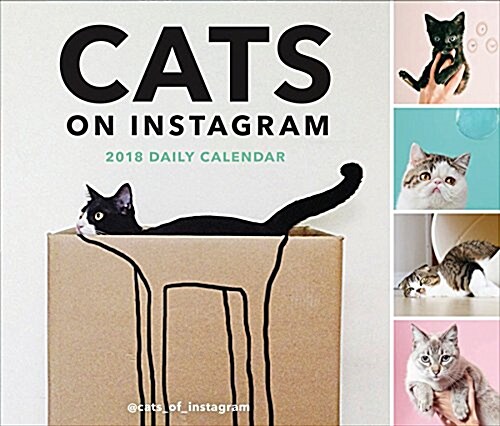 Cats on Instagram 2018 Daily Calendar (Daily)