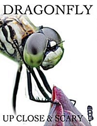 Dragonfly (Hardcover)