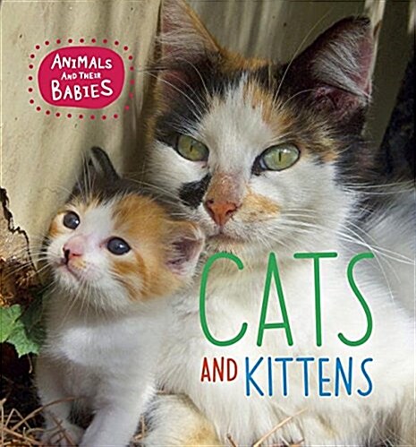 Cats and Kittens (Hardcover)