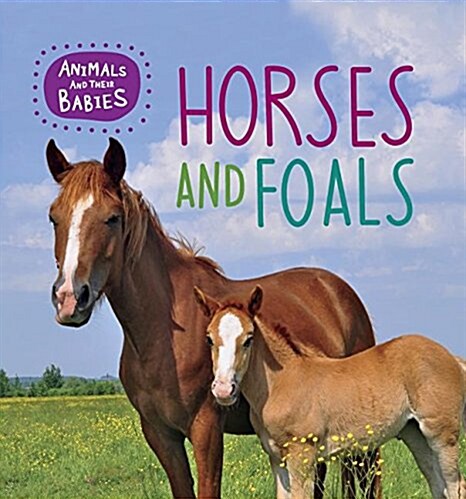 Horses and Foals (Hardcover)
