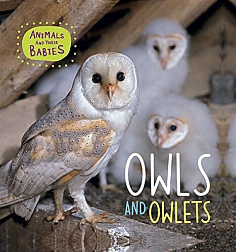 Owls and Owlets (Hardcover)