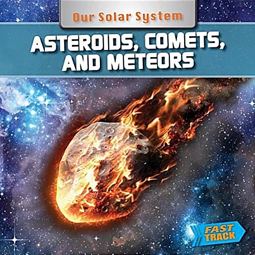 Asteroids, Comets, and Meteors (Hardcover)