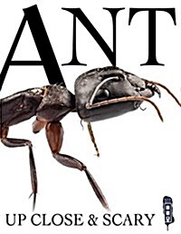 Ant (Hardcover)
