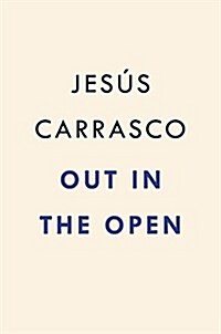 Out in the Open (Hardcover)