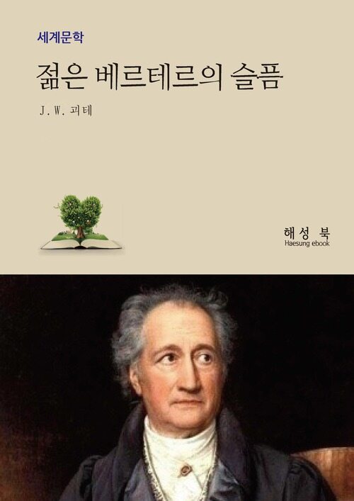 젊음 베르테르의 슬픔