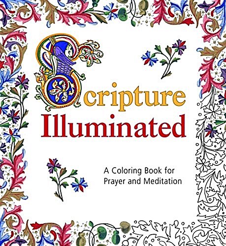 Scripture Illuminated Coloring Book (Paperback)