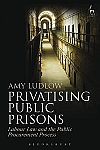 Privatising Public Prisons : Labour Law and the Public Procurement Process (Paperback)