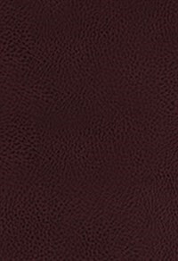 The King James Study Bible, Bonded Leather, Burgundy, Indexed, Full-Color Edition (Bonded Leather)