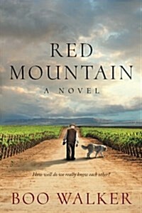 Red Mountain (Paperback)