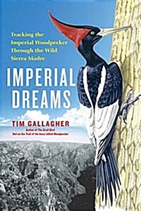 Imperial Dreams: Tracking the Imperial Woodpecker Through the Wild (Paperback)