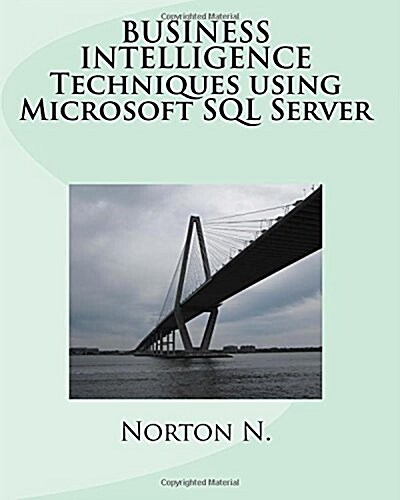 Business Intelligence Techniques Using Microsoft SQL Server (Paperback)
