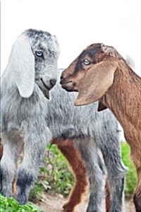 Two Gossiping Goats Journal: 150 Page Lined Notebook/Diary (Paperback)