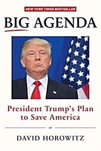 Big Agenda: President Trumps Plan to Save America (Hardcover)