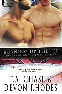 International Men of Sports : Burning Up the Ice (Paperback)