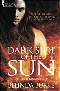 Eight Kingdoms : Dark Side of the Sun (Paperback)