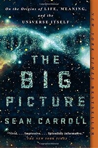 The Big Picture: On the Origins of Life, Meaning, and the Universe Itself (Paperback)
