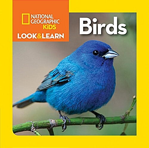 National Geographic Kids Look and Learn: Birds (Board Books)