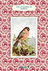 The Little Book of Birds (Hardcover)