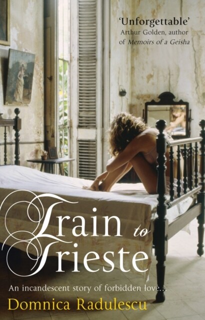 Train to Trieste (Paperback)