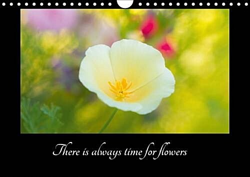 There is Always Time for Flowers 2017 : Beautiful Flowers for Closer Look (Calendar)