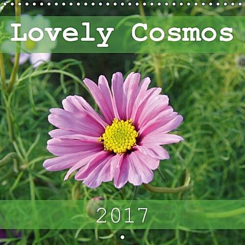 Lovely Cosmos 2017 : A Calendar for Cosmos Lovers (Calendar)