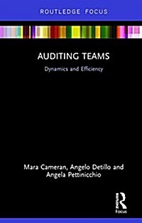 Auditing Teams : Dynamics and Efficiency (Hardcover)