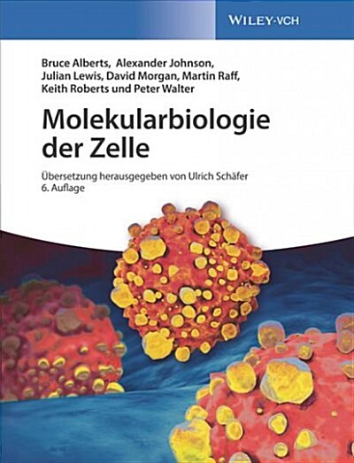 Molekularbiologie Der Zelle (Hardcover, 6)