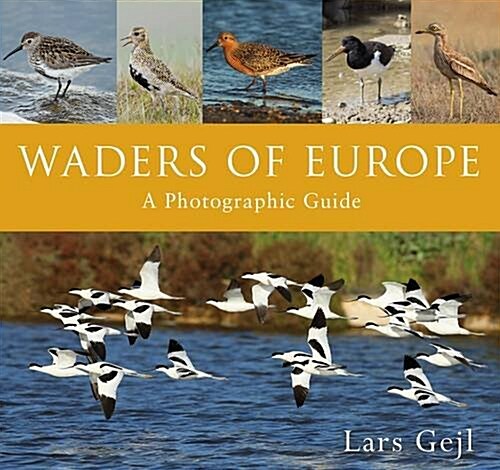 Waders of Europe (Hardcover)