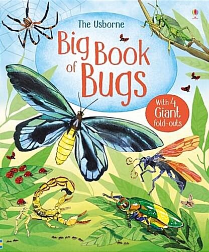 Big Book of Bugs (Hardcover)