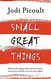 Small Great Things : To Kill a Mockingbird for the 21st Century (Paperback)